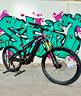 ebike-focus-sam2-6-9-29-27-5-170mm-12v-800wh