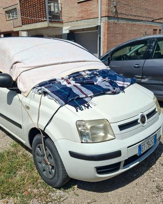 Panda come nuova