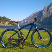 Bicicletta BMW 