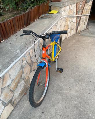 Bicicleta