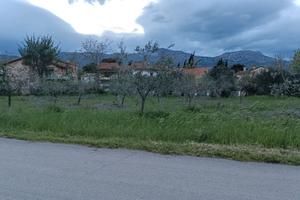 Terreno san clemente