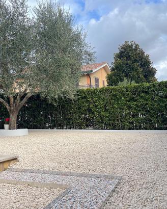 Disponibilità alloggio per insegnanti fuori sede