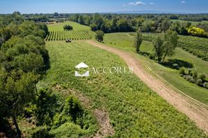Rif.SW186- terreno agricolo asolo