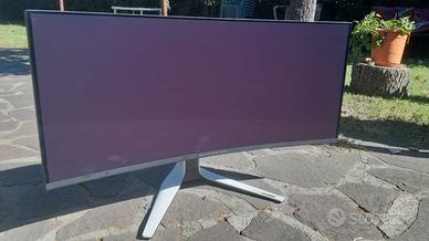 Schermo curvo x Gamer 34" ALIENWARE AW3423DW Usato