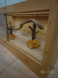 Teca in legno per rettili