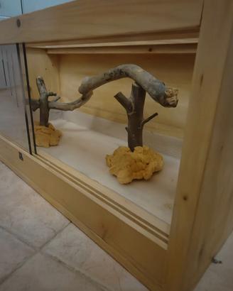 Teca in legno per rettili