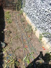 tubi irrigazione e canne bambu