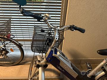 Bicicletta elettrica