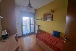 Stanza singola zona Ippodromo, agosto e settembre