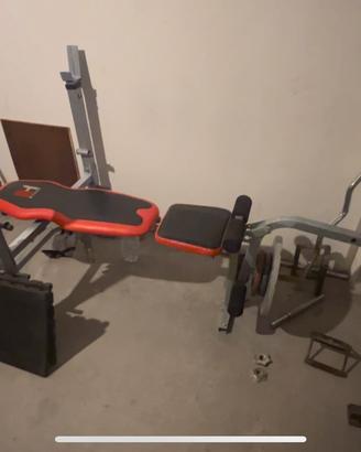 Palestra