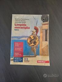Libro Limpida meraviglia -isbn 9788808902047 Epica