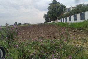 Ampio Terreno agricolo cell.3771127141