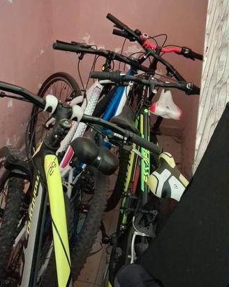 bici montanbike 