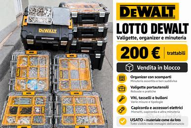 Lotto valigette DeWalt con viti, tasselli e minute
