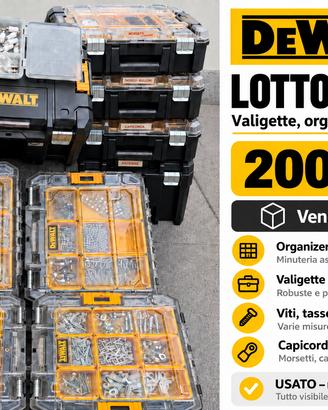 Lotto valigette DeWalt con viti, tasselli e minute