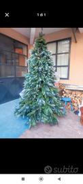 albero di Natale 