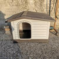 cuccetta per cani. 