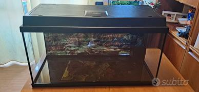 acquario Juwel primolux 80 , 110 litri