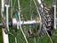 Immagine 5