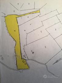 Rudere di fabbricato rurale e terreno