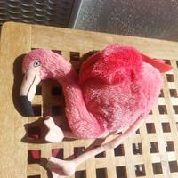 peluche fenicottero rosa