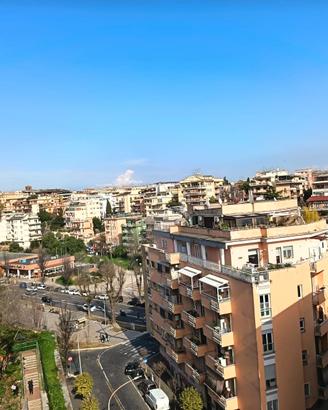 Ampio appartamento ultimo piano