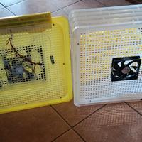incubatrice  per uova 