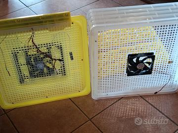 incubatrice  per uova 