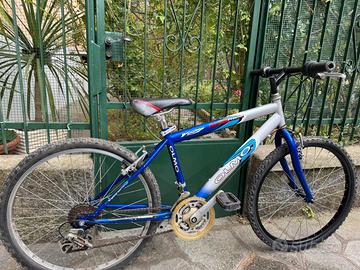 Bicicletta mtb Olmo young