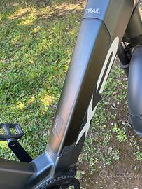 XP Bici elletrica