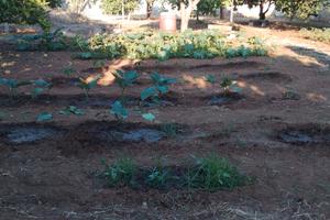 Terreno edificabile