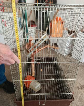 gabbia scoiattoli criceti cincillà roditori 