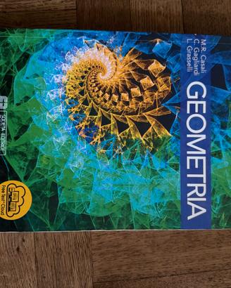 GEOMETRIA
