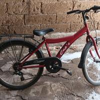 Bici 24" CUP'S