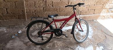 Bici 24" CUP'S