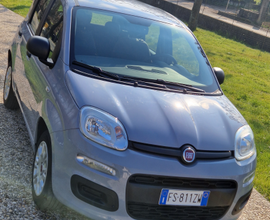 Panda 1.2 benzina 2019 55400km