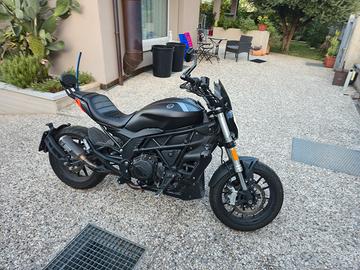 benelli 502c