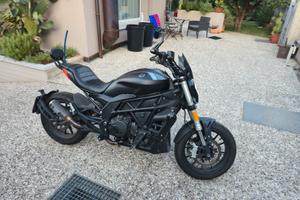 benelli 502c