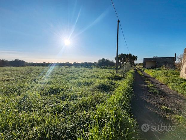 Terreno agricolo a Belpasso