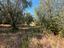 Immagine 8