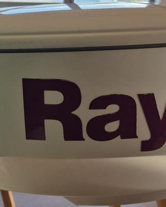 Raymarine Antenna Radar RD218