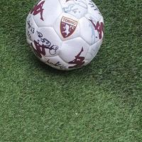 Pallone del torino