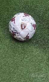 Pallone del torino