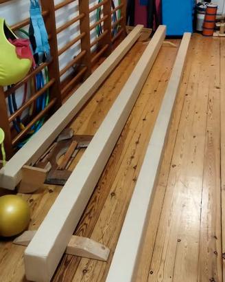 Travi Ginnastica Artistica