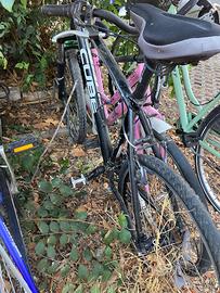 2 biciclette a 100