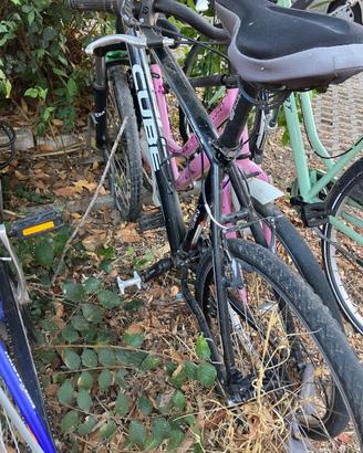 2 biciclette a 100