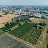 Terreno agricolo via Marchiona 8A,CARPI(MO)