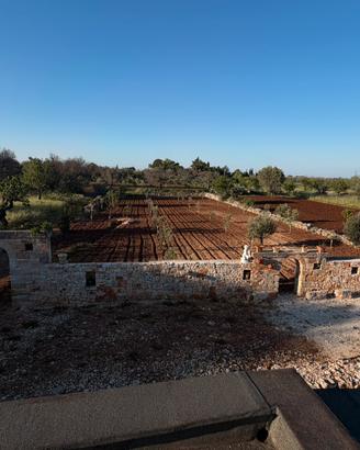 Rustico casolare e terreno