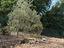 Immagine 26