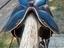 Immagine 2